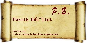 Peknik Bálint névjegykártya