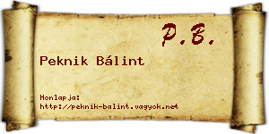 Peknik Bálint névjegykártya